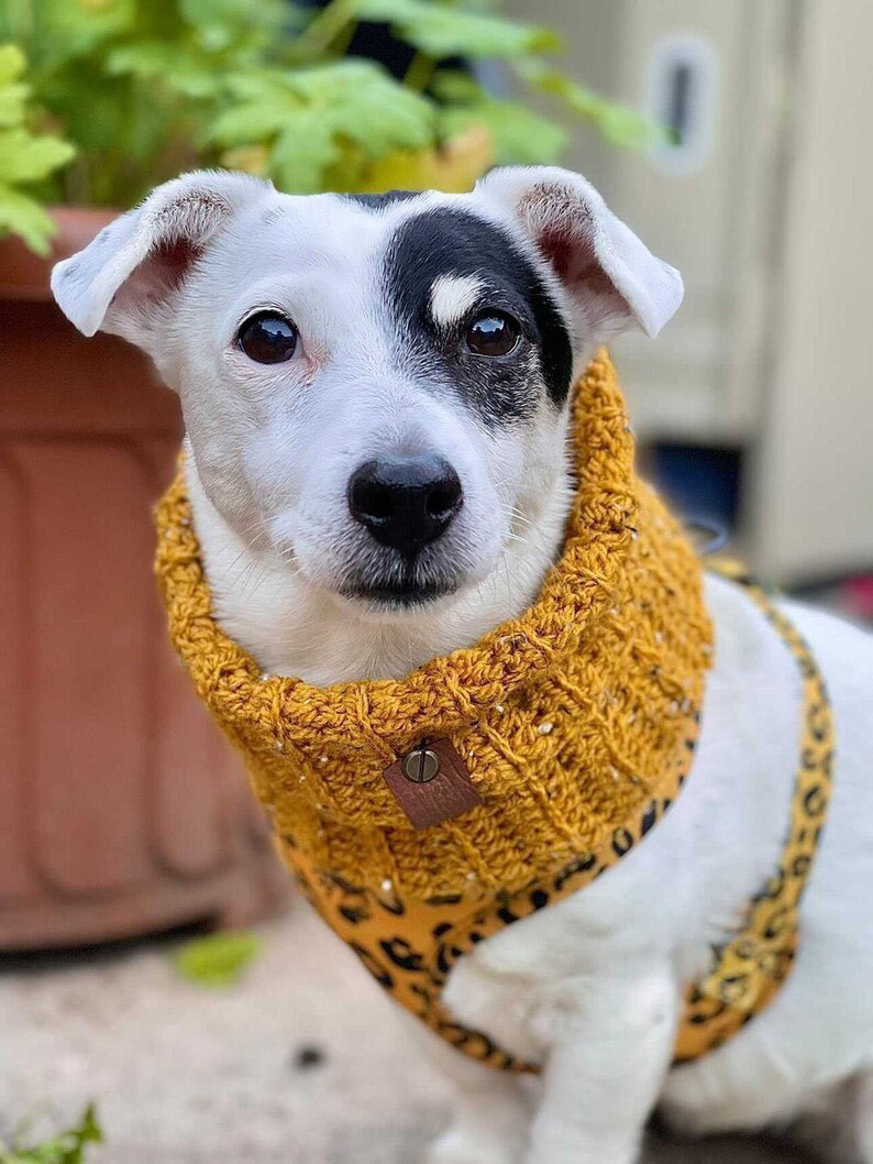 Mustard Flecks Roll Top Knitted DOG Snood / Scarf / Neckband image 1