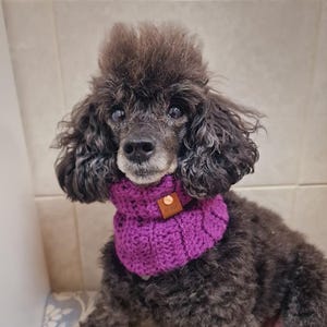 Handmade Dog Snood: Plum Pudding Roll Top, Cozy Dog Neck Warmer
