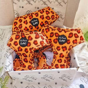 Spiced Honey Leopard Puppy Dog Harness - XS - L