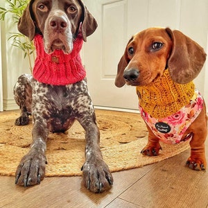 Mustard Flecks Roll Top Knitted DOG Snood / Scarf / Neckband image 8