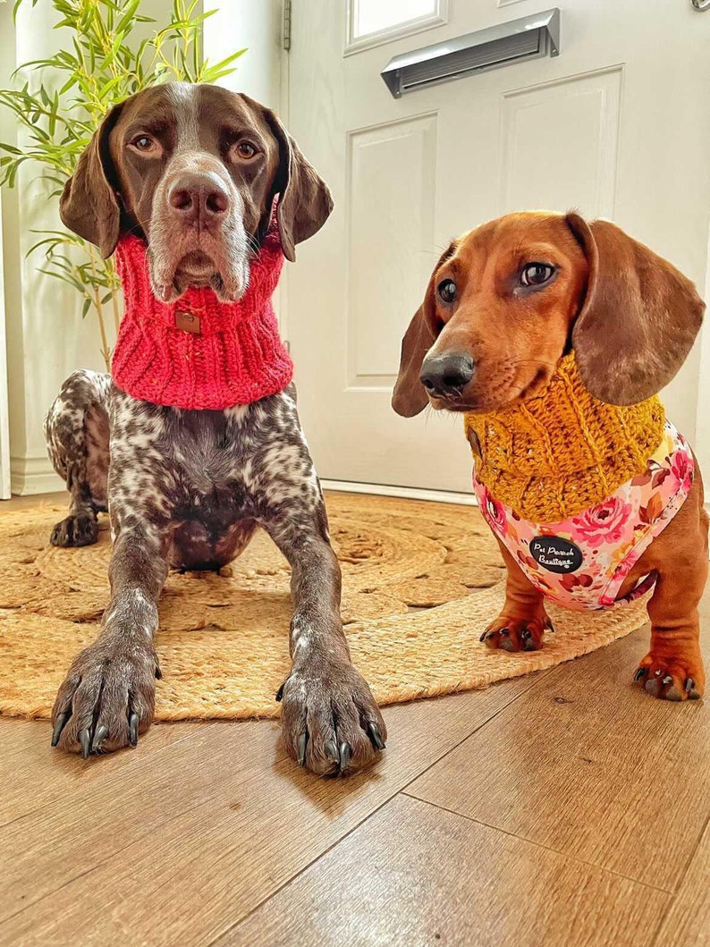 Mustard Flecks Roll Top Knitted DOG Snood / Scarf / Neckband image 8