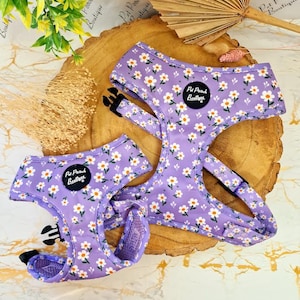 Lucky Little Lavender Daisies Flower Puppy Dog Harness - optional flower accessory