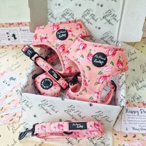 May include: A pink floral dog harness and leash set with a matching poop bag holder. The set is packaged in a box with tissue paper and a card that says "Happy Pooch".