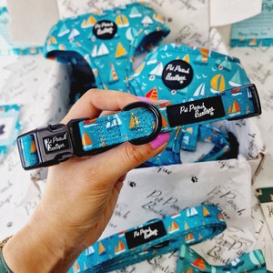 Ahoy Sea Dog! Puppy or Dog Collar - Size XS - M  - Clearance