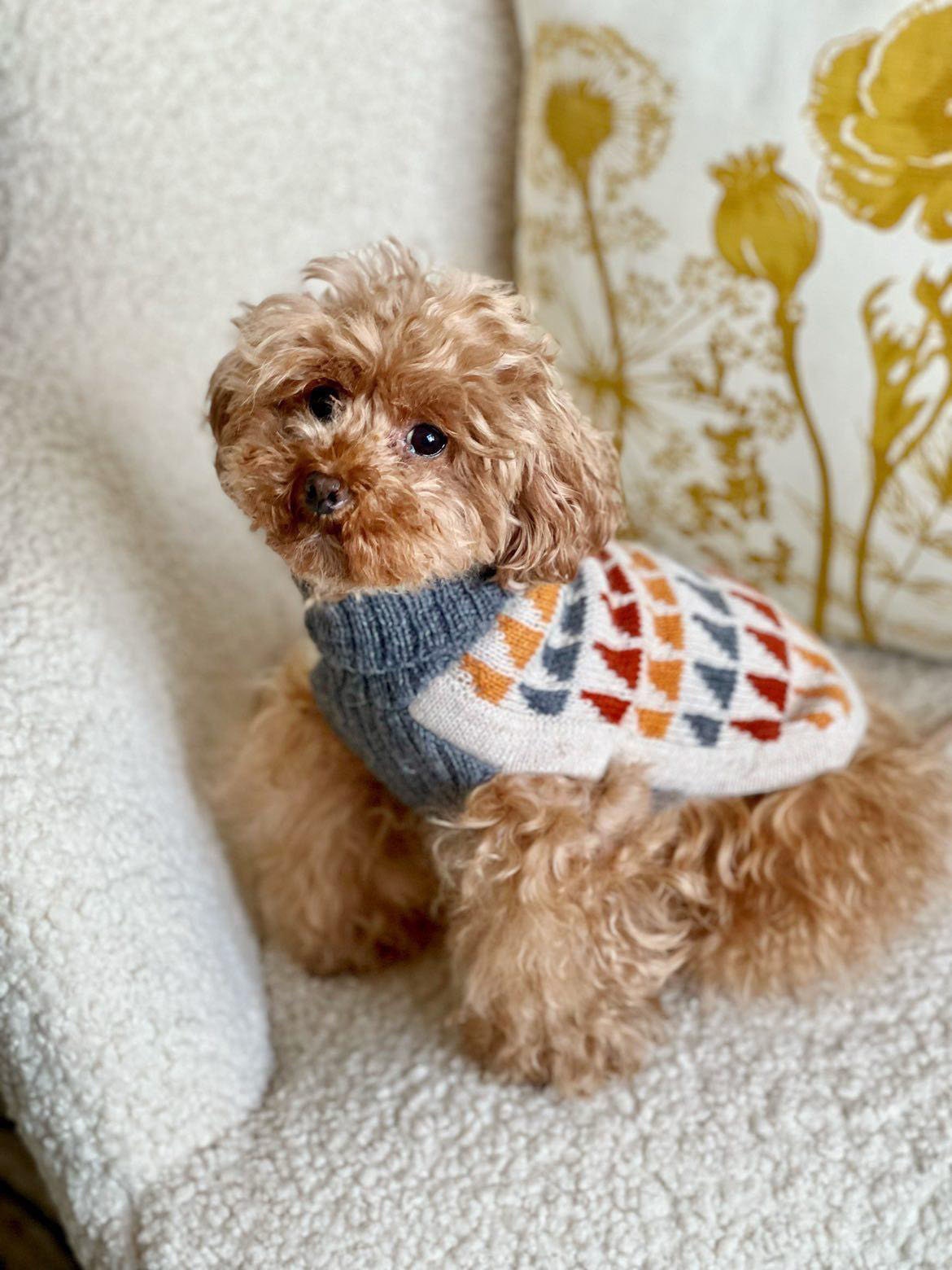 Triangle Rum Alpaca Wool DOG Sweater/jumper Alqo Wasi Handmade