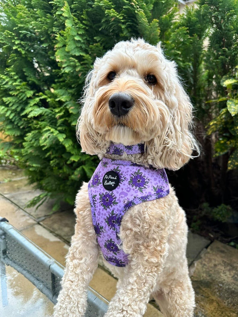 Lavender Florals Puppy or Dog Collar image 4