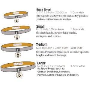 English Garden Tea Puppy or Dog Collar sizes XS M image 2