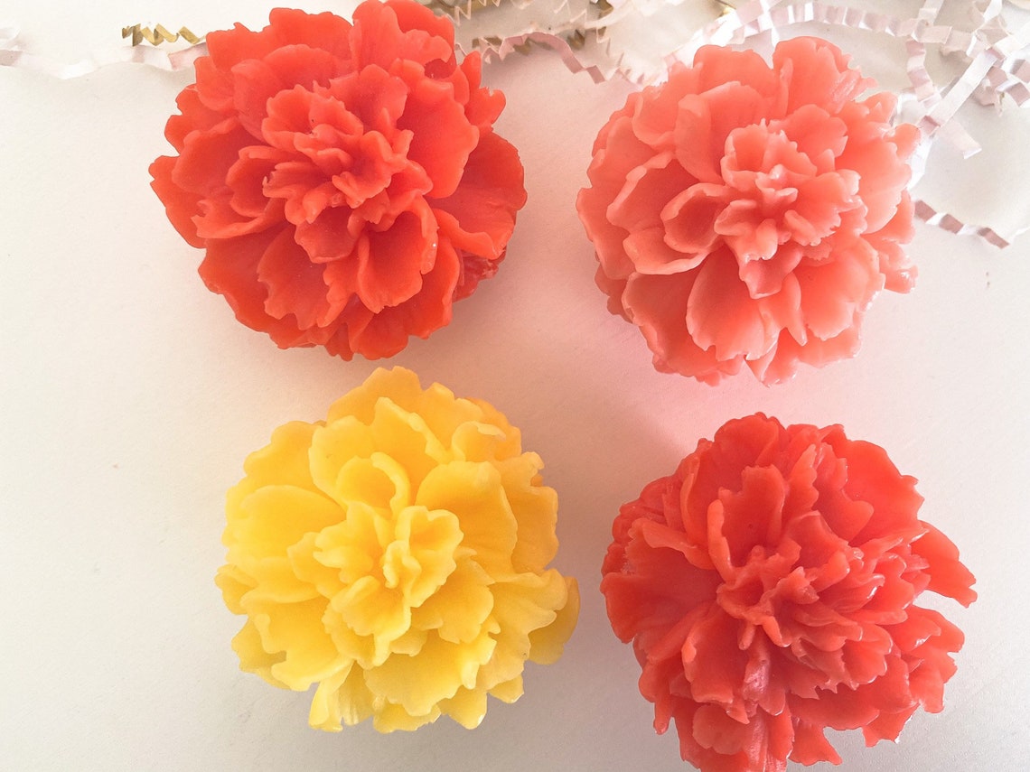 Carnation Display Gift Box Etsy