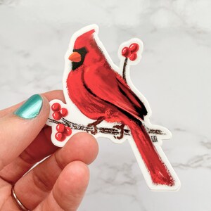 Grumpy Cardinal Sticker , Vinyl Decal, Rememberance Gift