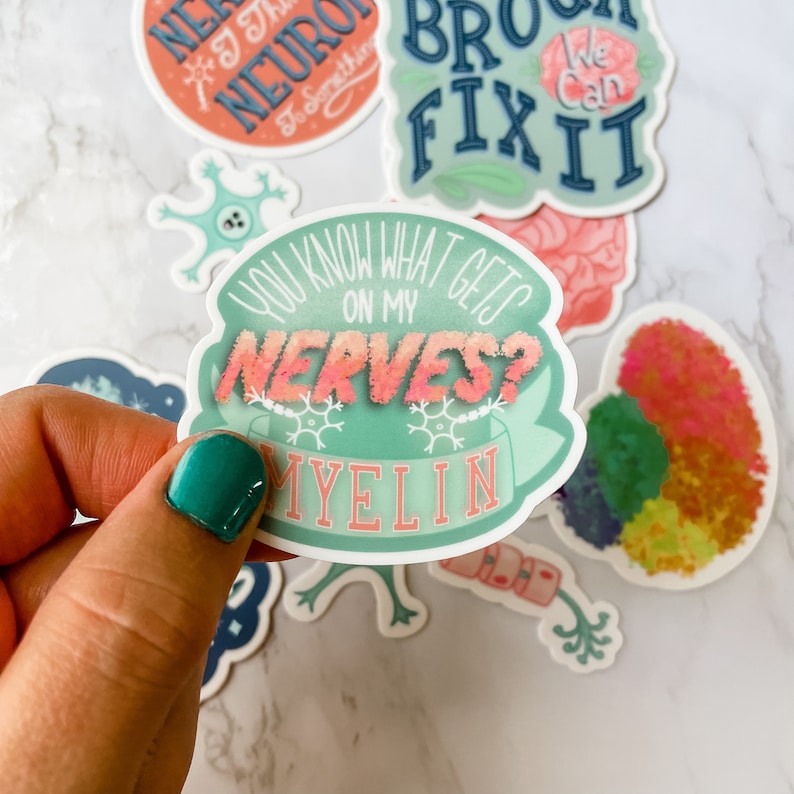 Pu&ograve; includere: Un set di adesivi colorati a tema scientifico. Gli adesivi presentano illustrazioni di un cervello, un neurone e una cellula nervosa. Il testo sugli adesivi recita "You know what gets on my nerves? Myelin", "We can fix it", e "I'm a neuron, to something".