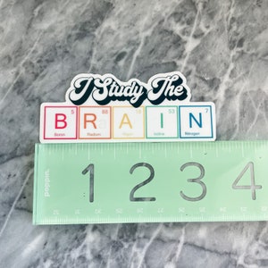 Pu&ograve; includere: Un adesivo con il testo "I Study The BRAIN" con le lettere della parola "BRAIN" rappresentate dai simboli chimici del boro, del radio, dell'argon, dello iodio e dell'azoto.