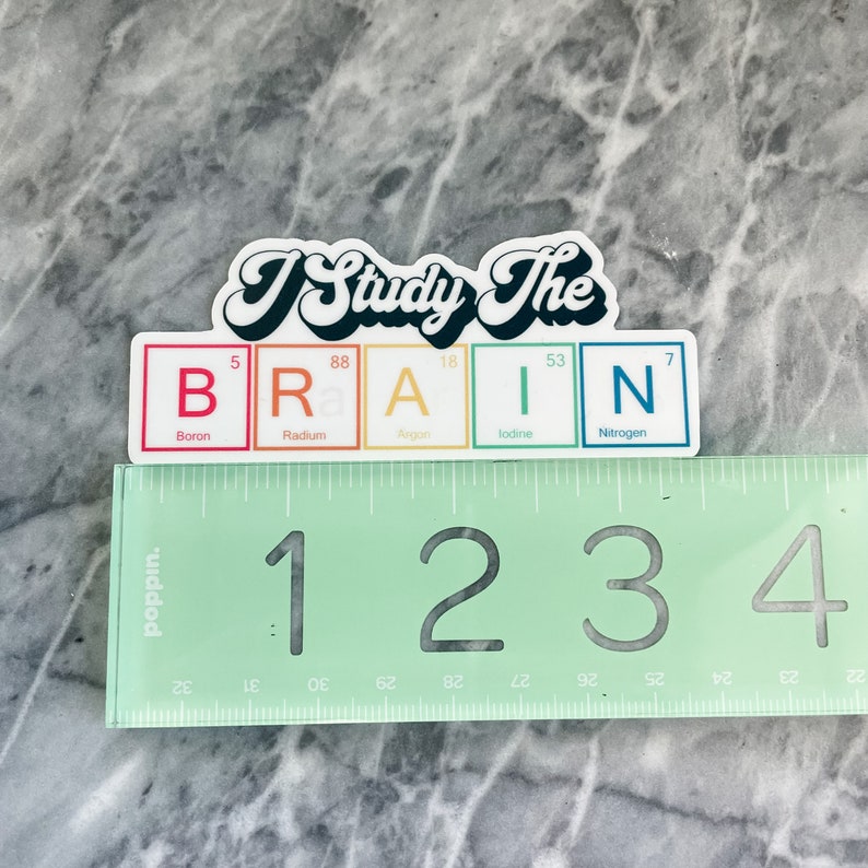 Pu&ograve; includere: Un adesivo con il testo "I Study The BRAIN" con le lettere della parola "BRAIN" rappresentate dai simboli chimici del boro, del radio, dell'argon, dello iodio e dell'azoto.