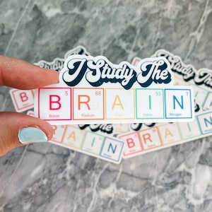 I Study The Brain - Vinyl Sticker - Neurology Gift - Yeti Sticker