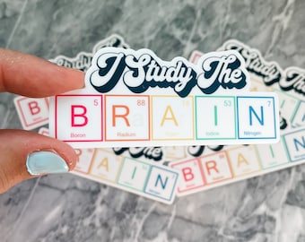May include: A sticker with the text "I Study The BRAIN" with the letters represented by the chemical symbols for Boron, Radium, Argon, Iodine, and Nitrogen. The sticker is white with rainbow colored borders around each letter.