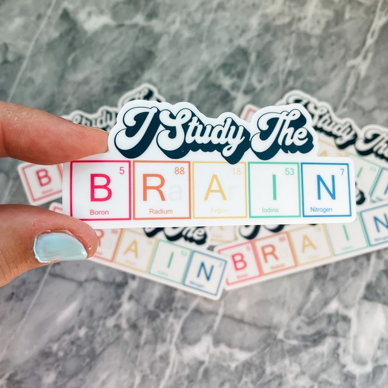 Pu&ograve; includere: Un adesivo con il testo "I Study The BRAIN" con le lettere rappresentate dai simboli chimici di boro, radio, argon, iodio e azoto. L'adesivo &egrave; bianco con bordi arcobaleno attorno a ciascuna lettera.