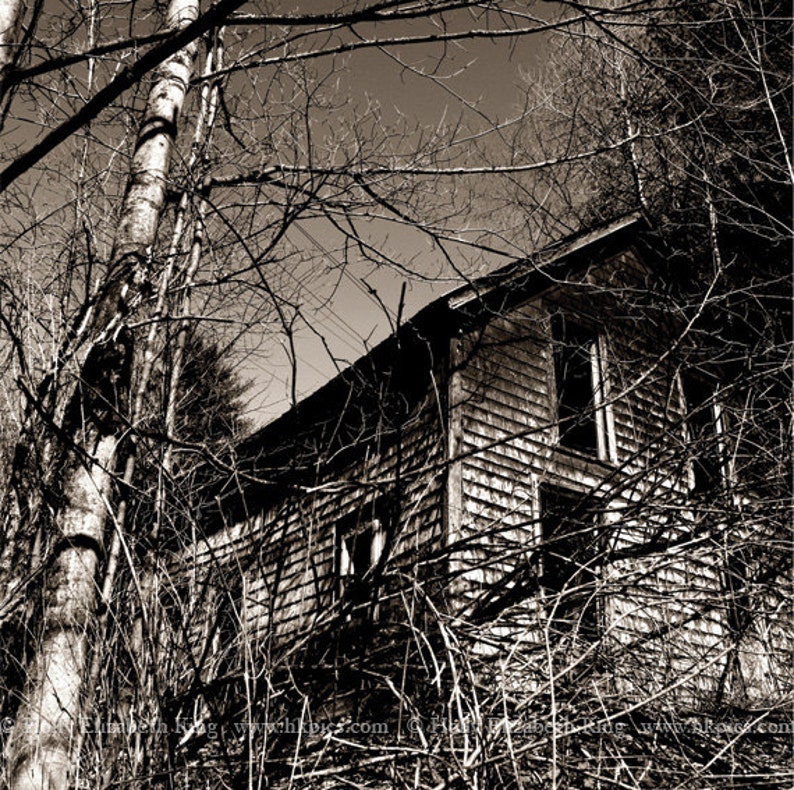 Abandoned House Photo Print Spooky Decor Urban Exploration