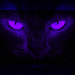 Psychic Reading- Past Lives- What Did I Do in My Last Life? Am I an Old Soul?