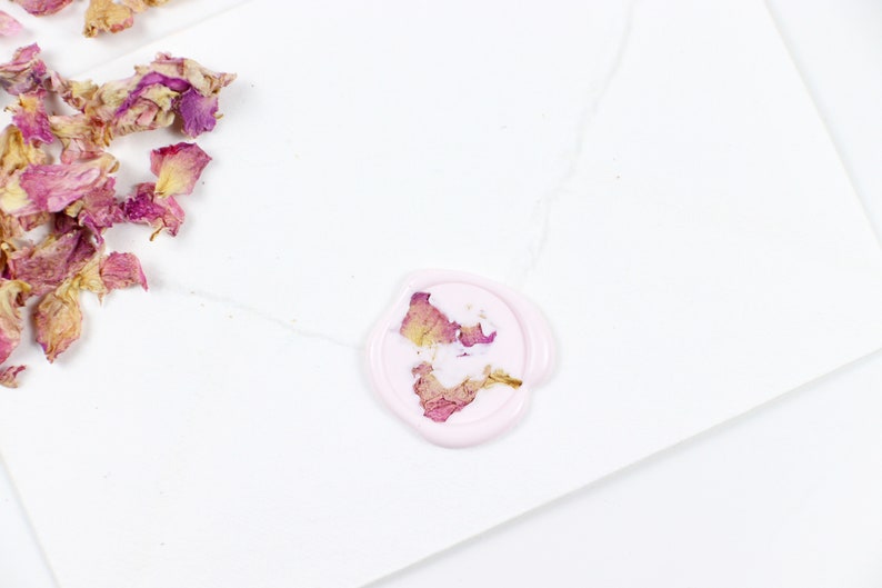 Pack of 10 Dried Flowers Wax Seal Pink Rose Petals Wax Seals Dried Petals Wax Seal Wedding Invitation Wax Seals Pressed Flowers Seal imagem 4