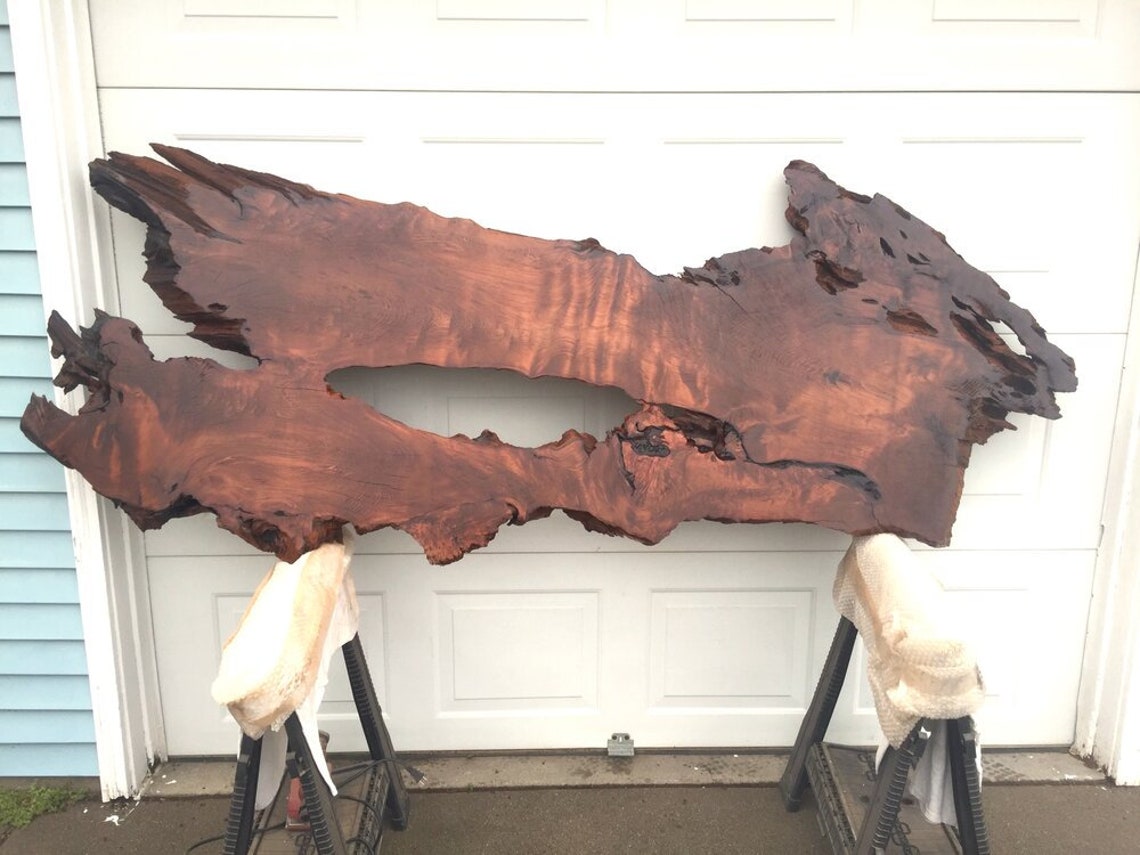 Live Edge Wooden Wall Decor Beautiful Large Live Edge Wood | Etsy