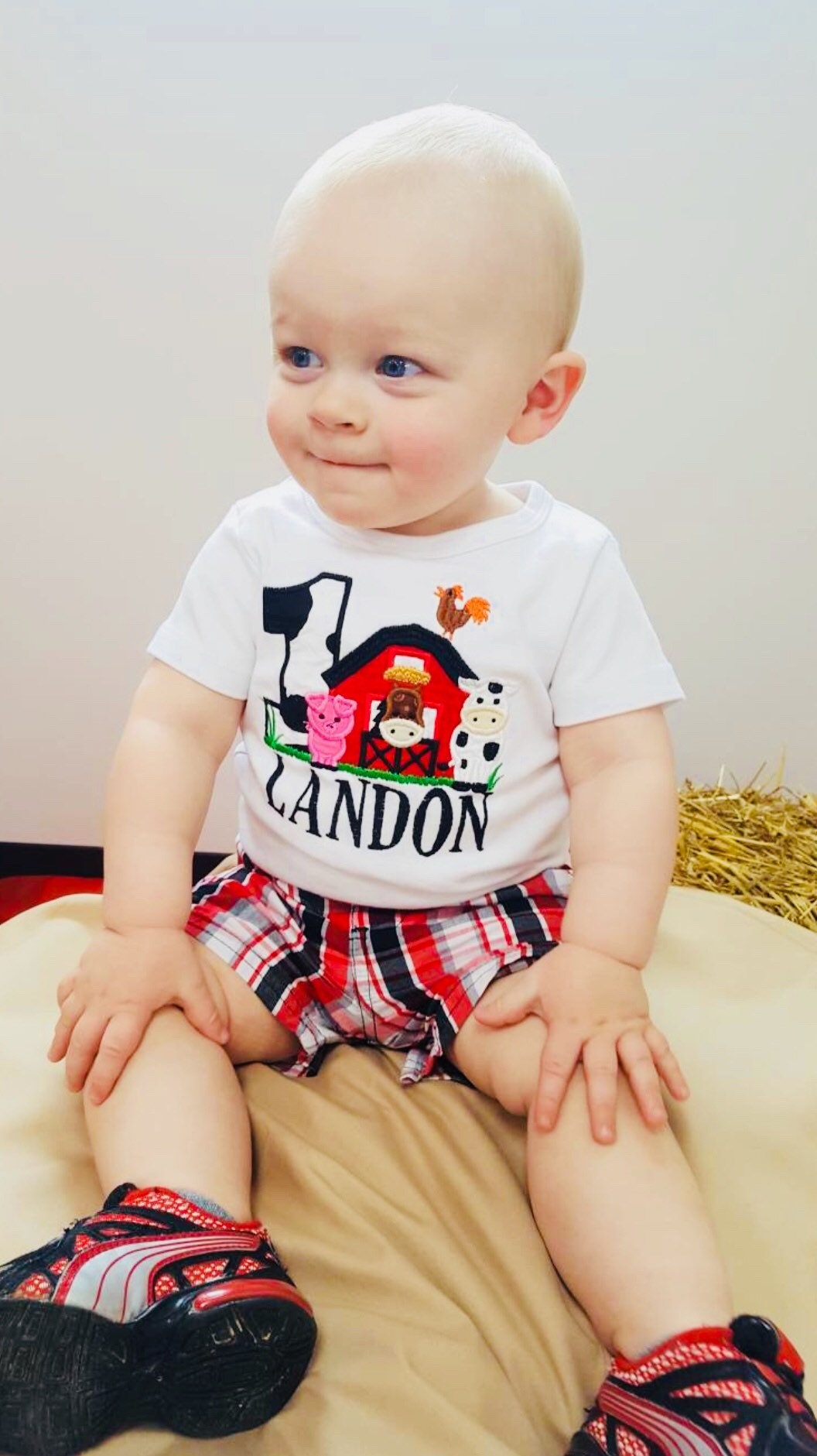 Barn Birthday Bodysuit 1st Birthday Boy Bodysuit Farm 1st Etsy