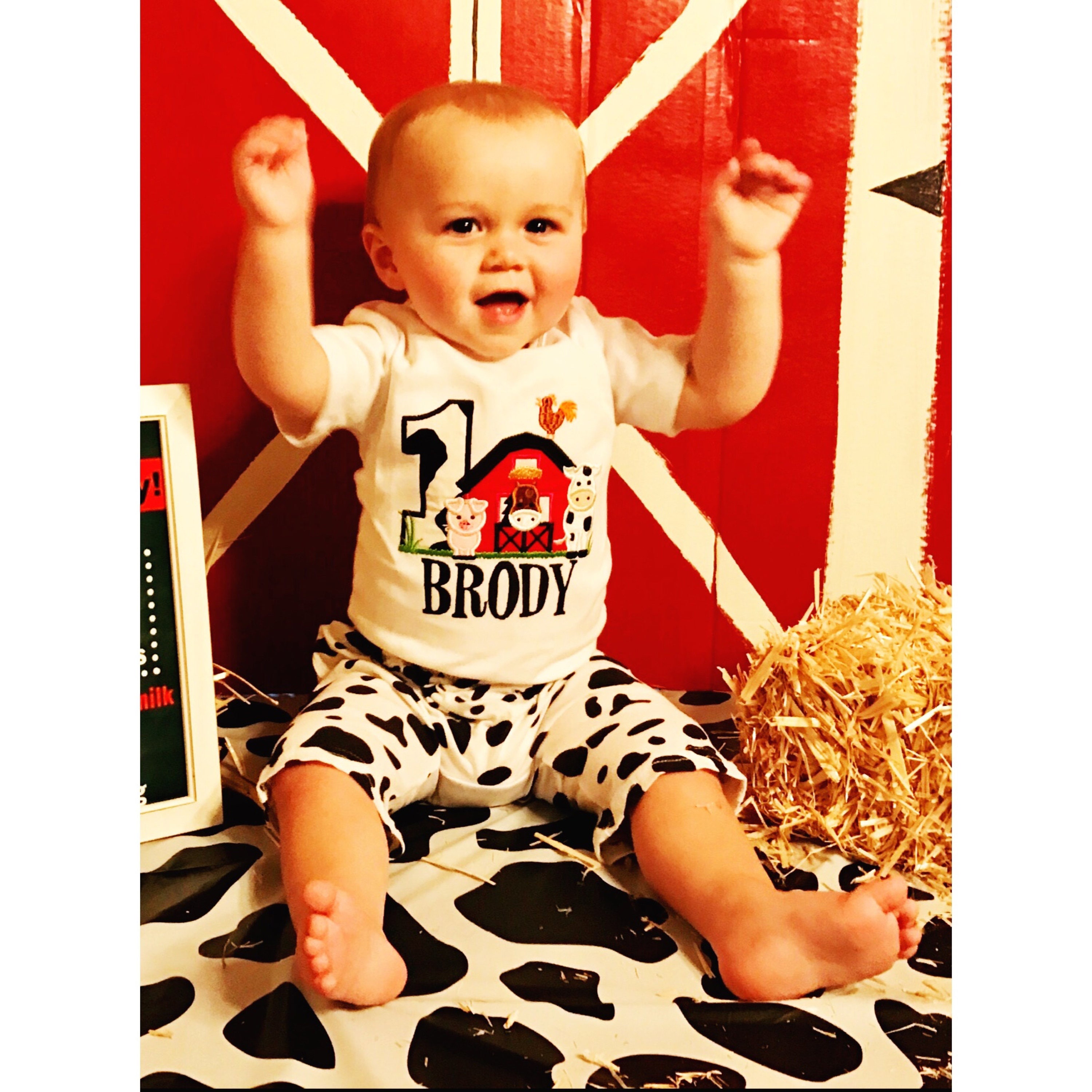 Barn Birthday Bodysuit 1st Birthday Boy Bodysuit Farm 1st Etsy