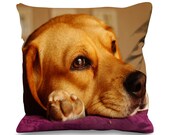 Beagle Face Close Up Faux Silk 45cm x 45cm Sofa Cushion - Beagles Cute Peet Dog