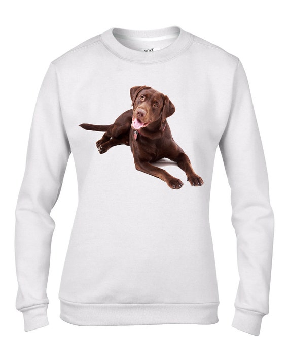 Chocolate lab sweatshirt hotsell