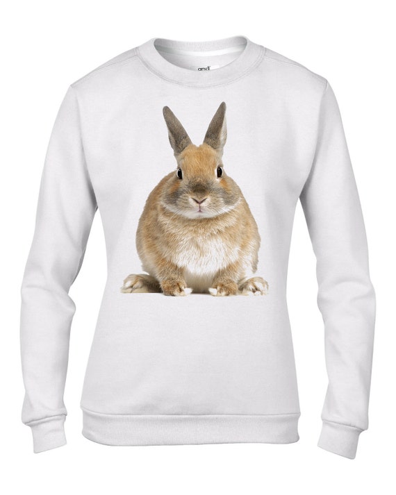 Sudadera de conejo sale