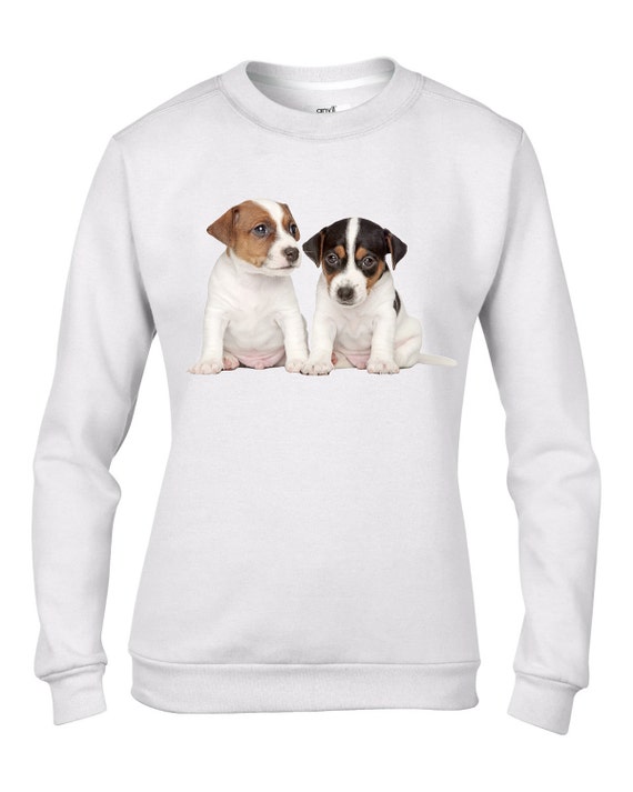 jack russell jumper