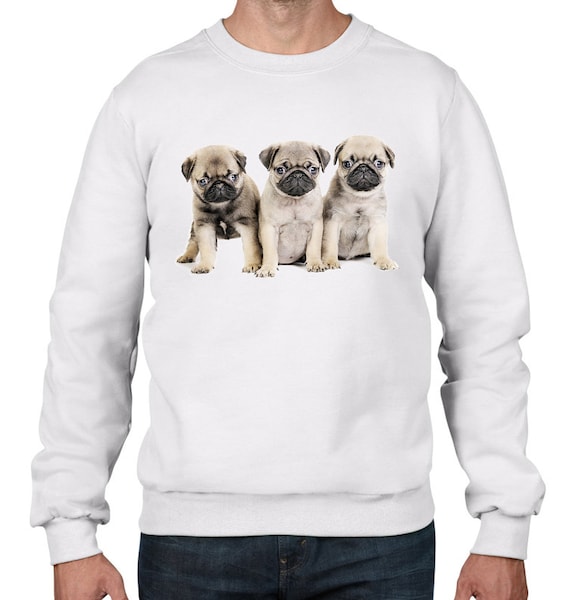 Pug Puppies Men s Sweatshirt Jumper Pug Dog Pets Animal Cute Pugs