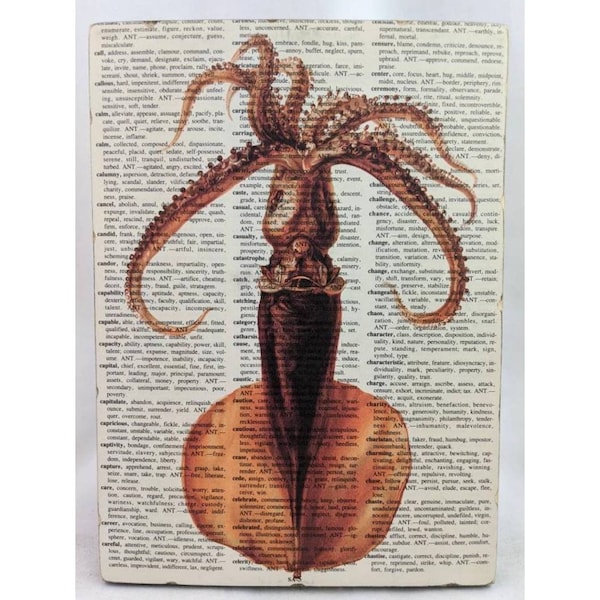 Squid Art Print, Orange Squid Wall Art, Ocean wall hanging, Beach house Art Print, Best Friend Gift, 5th anniversary gift, Oddities art