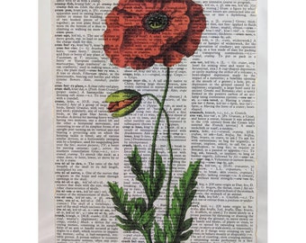 Poppy Botanical Art, California Poppy Art, Botanical wall art, Poppy Decor, Boho Floral, Boho Wall Hanging, Floral Nursery Art, Housewarming