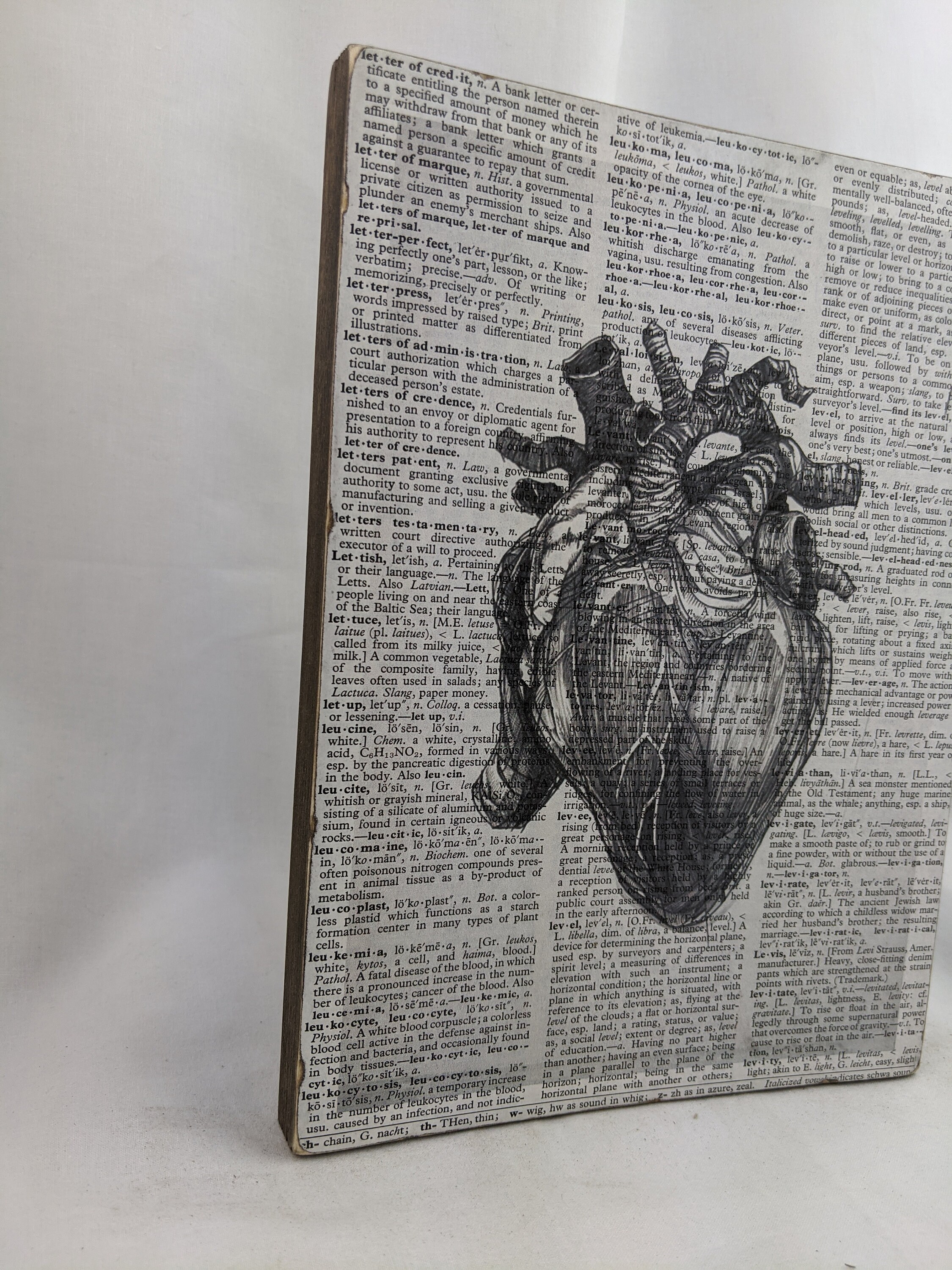 Anatomical Heart Wood Art Rustic Dictionary Dictionary Art Etsy