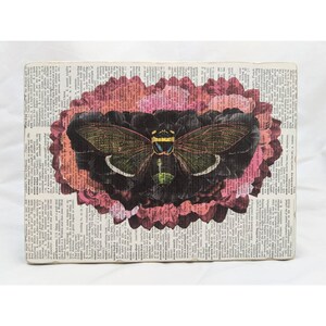Insect Art Print, Art for Dorm Room, Gothic Home Decor, Goth Wall Hanging, Insect Wall Art, Cicada Art, Boho Nature Art, Botanical Art