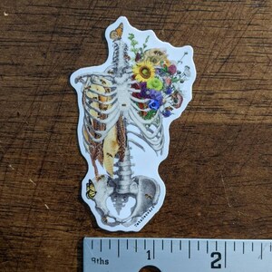May include: A white sticker with a detailed illustration of a human skeleton with a bouquet of colorful flowers and bees inside the rib cage. The sticker is approximately 2 inches tall and has the text "Tatte DecoArt" at the bottom.