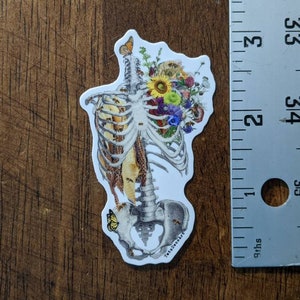 May include: A sticker featuring a detailed anatomical illustration of a human ribcage with a bouquet of colorful flowers and butterflies. The flowers are a mix of yellow, red, pink, and blue.
