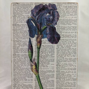 May include: A wooden sign with a vintage dictionary page featuring a purple and blue iris flower. The text on the page includes definitions for the words "breed", "breeder", "breeding", "breeze", "brevet", "breviary", "brevier", "brew", "brewer", "brewery", "brewing", "breton", and "brevet".