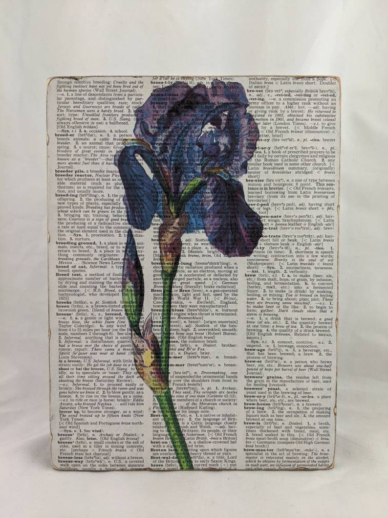 May include: A wooden sign with a vintage dictionary page featuring a purple and blue iris flower. The text on the page includes definitions for the words "breed", "breeder", "breeding", "breeze", "brevet", "breviary", "brevier", "brew", "brewer", "brewery", "brewing", "breton", and "brevet".