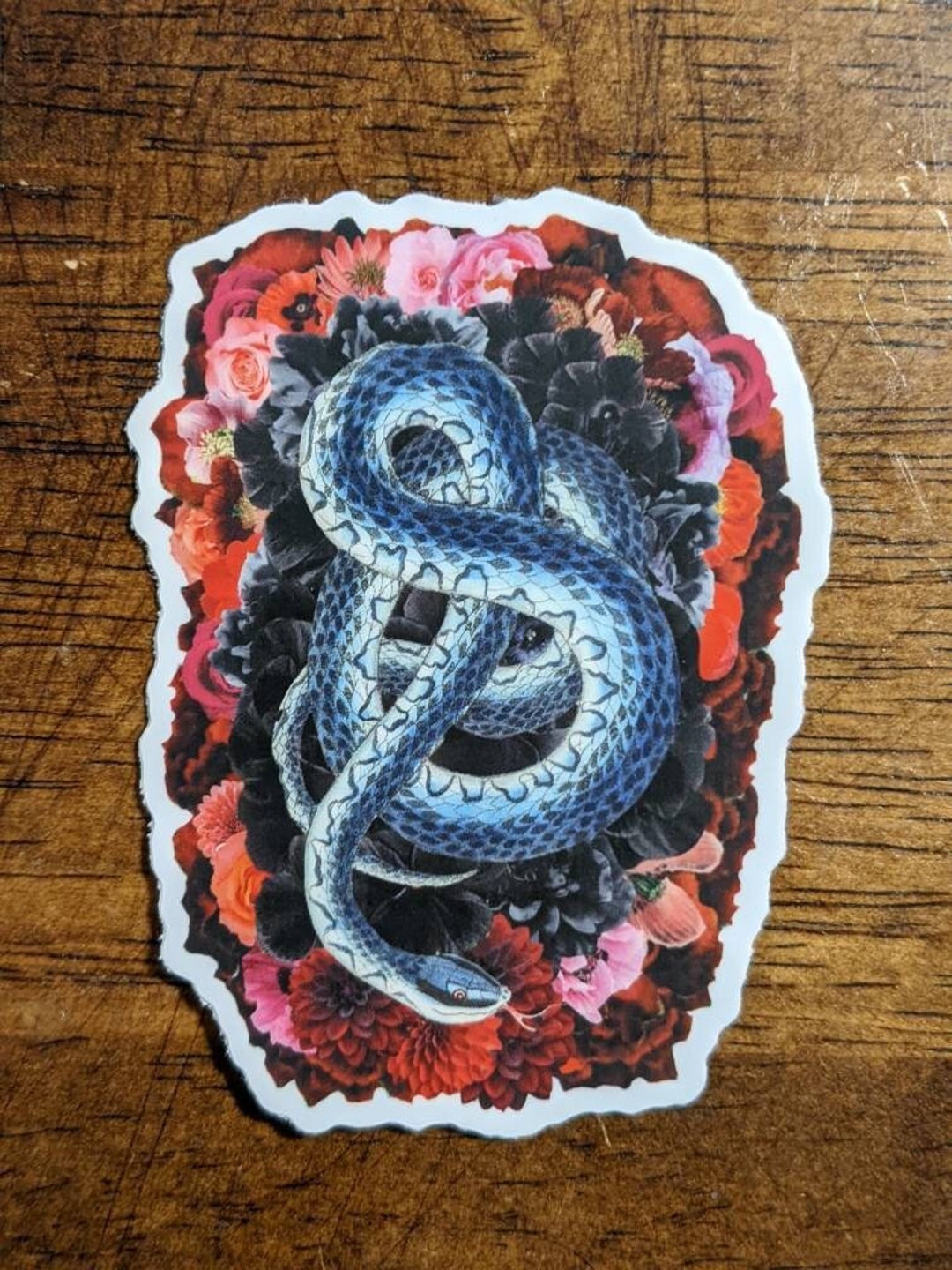 Snake Sticker, Floral Snake Sticker, Water Bottle Sticker, Laptop Decal ...