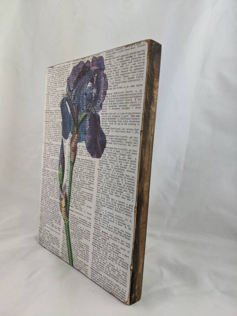 May include: A purple and green iris flower printed on a white background with black text. The print is mounted on a wooden frame.