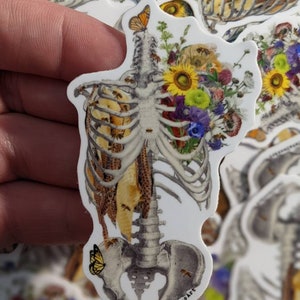 May include: A white sticker with a detailed illustration of a human skeleton with a bouquet of flowers and bees inside the rib cage. The sticker has the text "TataDooDaArt" at the bottom.