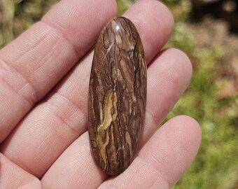 Deschutes Picture Jasper from Oregon  C-005