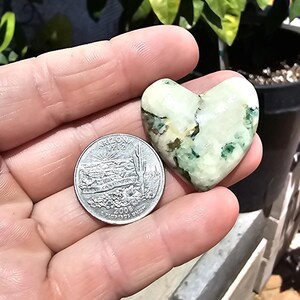 Green and White Heart shaped cabochon,  Mariposite Heart   H-2