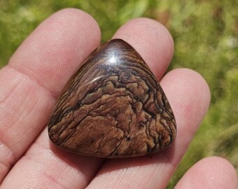 Deschutes Picture Jasper from Oregon  C-004