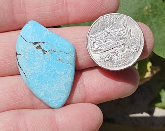 Nacozari Turquoise Cabochon  C-2716