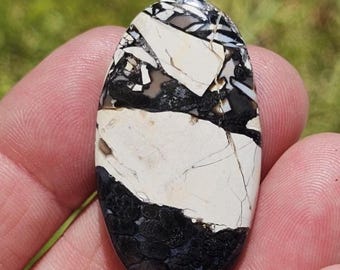 Panda Agate cabochon  #BW-102