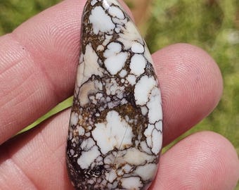 Wild Horse or Pinto Stone Cabochon   C-2600