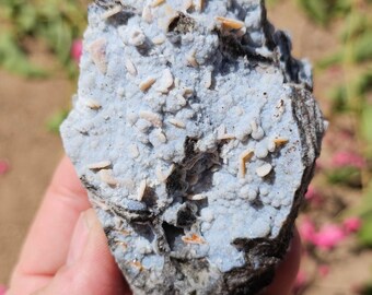 Large natural Hemimorphite and Wulfenite Specimen from the Barking Spider/Finch Mine in Arizona   SP-116