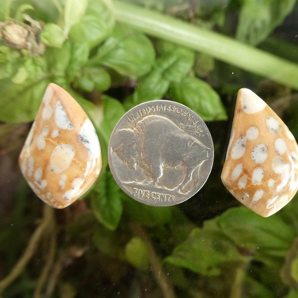 Stone Cabochon - Etsy
