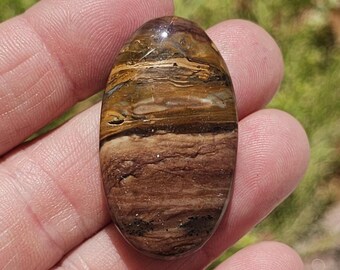 Deschutes Picture Jasper from Oregon  C-006